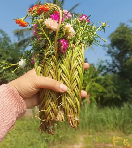Cách Trồng Các Loại Hoa Tại Nhà Để Kinh Doanh: Từ Chọn Giống, Chăm Sóc Đến Bán Hàng Cách Trồng Các Loại Hoa Tại Nhà Để Kinh Doanh: Từ Chọn Giống, Chăm Sóc Đến Bán Hàng