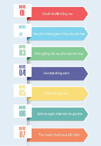 Hướng Dẫn Trồng Rau Sạch Tại Nhà Quanh Năm: Quy Trình A-Z Từ Chọn Giống, Chuẩn Bị Đến Chăm Sóc, Thu Hoạch Cho Người Mới Bắt Đầu Hướng Dẫn Trồng Rau Sạch Tại Nhà Quanh Năm: Quy Trình A-Z Từ Chọn Giống, Chuẩn Bị Đến Chăm Sóc, Thu Hoạch Cho Người Mới Bắt Đầu