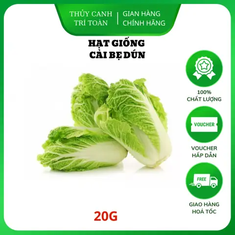 Hướng Dẫn Trồng Cải Bẹ Dún Thủy Canh Tại Nhà Từ A-Z: Quy Trình, Chuẩn TDS/EC, Và 5 Sai Lầm Phải Tránh