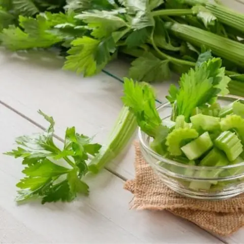 Cách Trồng Cần Tàu Lấy Giống Từ Gốc: Hướng Dẫn Chi Tiết Từ Ngâm Rễ Đến Thu Hoạch