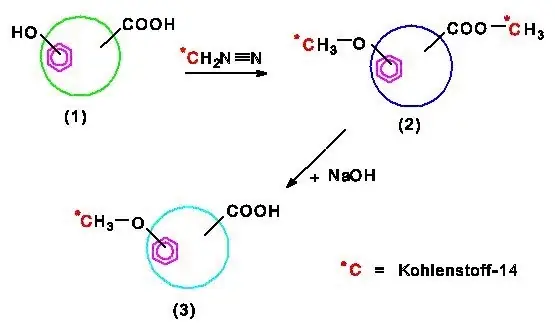 Cách Trồng Cam Đường (cam Canh) Đúng Kỹ Thuật: Chọn Giống, Chăm Sóc Và Ra Quả