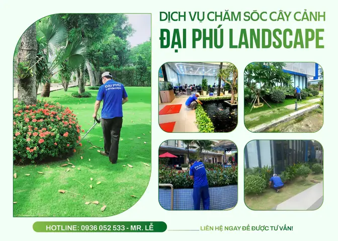 Cách Trồng Và Chăm Sóc Cây Cảnh Mini Nhỏ Trong Nhà Cho Người Mới Bắt Đầu Cách Trồng Và Chăm Sóc Cây Cảnh Mini Nhỏ Trong Nhà Cho Người Mới Bắt Đầu