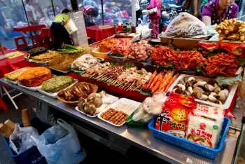 Cách Trồng Cây Của Người Do Thái (israel): Toàn Tập Kỹ Thuật, Công Nghệ & Bí Quyết Thích Nghi Tại Việt Nam Cách Trồng Cây Của Người Do Thái (israel): Toàn Tập Kỹ Thuật, Công Nghệ & Bí Quyết Thích Nghi Tại Việt Nam