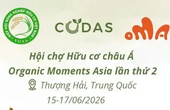 Cách Trồng Cây Của Người Do Thái (israel): Toàn Tập Kỹ Thuật, Công Nghệ & Bí Quyết Thích Nghi Tại Việt Nam Cách Trồng Cây Của Người Do Thái (israel): Toàn Tập Kỹ Thuật, Công Nghệ & Bí Quyết Thích Nghi Tại Việt Nam