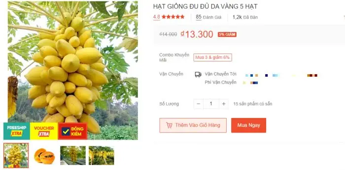 Hướng Dẫn Chi Tiết Cách Trồng Đu Đủ Đài Loan Từ A-Z Cho Nhiều Quả Hướng Dẫn Chi Tiết Cách Trồng Đu Đủ Đài Loan Từ A-Z Cho Nhiều Quả