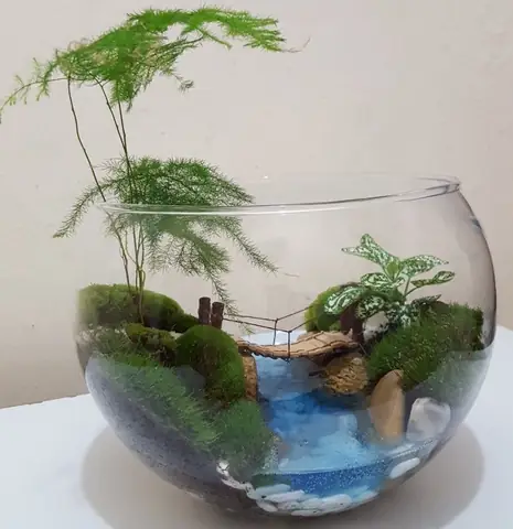 Cách Trồng Và Chăm Sóc Cây Hòn Non Bộ Nhả Oxy Cao: Chọn Loài, Kỹ Thuật & Lưu Ý Quan Trọng