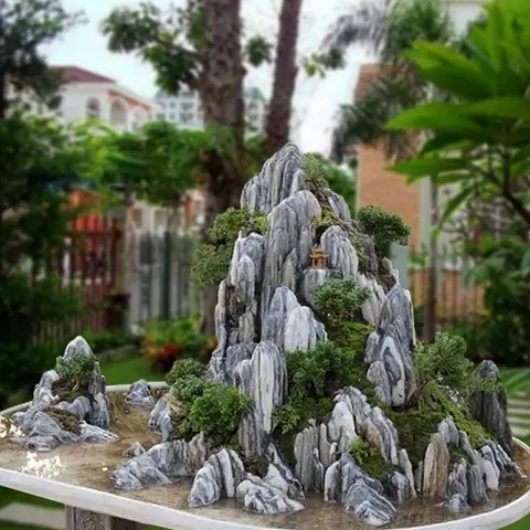 Cách Trồng Và Chăm Sóc Cây Hòn Non Bộ Nhả Oxy Cao: Chọn Loài, Kỹ Thuật & Lưu Ý Quan Trọng