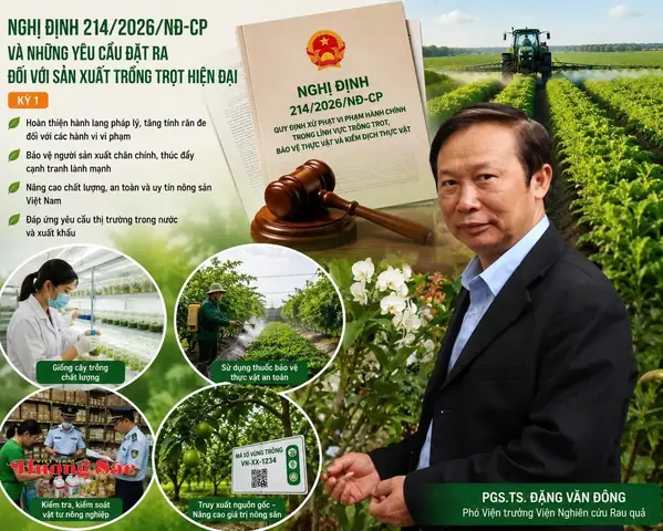 Hướng Dẫn Cách Trồng Cây Lấy Củ Lấy Hoa: Kỹ Thuật Chi Tiết Cho Sen, Lay Ơn, Hoa Súng Và Các Loài Phổ Biến