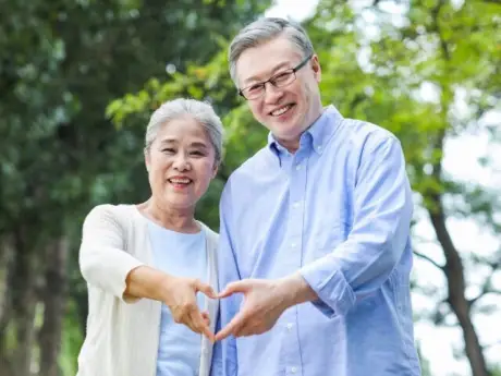 Cách Trồng Cây Lược Vàng Nghệ Thuật Cho Không Gian Sống: Tận Khí, Phong Thủy Và Chăm Sóc