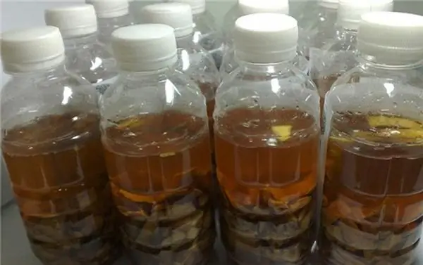 Cách Trồng Cây Lược Vàng Nghệ Thuật Cho Không Gian Sống: Tận Khí, Phong Thủy Và Chăm Sóc