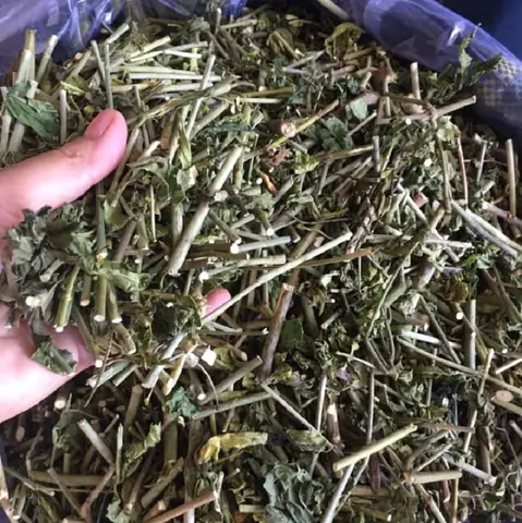 Hướng Dẫn Cách Trồng Cây Mashing Cộng (xương Khỉ, Bìm Bịp) Từ A-Z: Kỹ Thuật, Chăm Sóc & Thu Hoạch