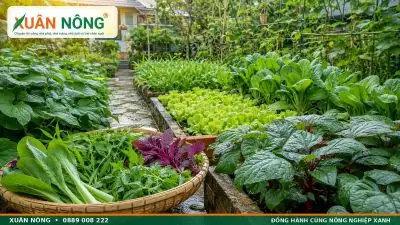 Hướng Dẫn Trồng Cây Mắt Nai Tại Nhà: Kỹ Thuật Trồng, Chăm Sóc Và Làm Cảnh Cho Ban Công Hướng Dẫn Trồng Cây Mắt Nai Tại Nhà: Kỹ Thuật Trồng, Chăm Sóc Và Làm Cảnh Cho Ban Công