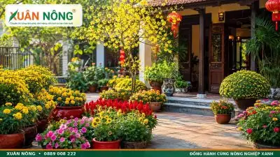 Hướng Dẫn Trồng Cây Mắt Nai Tại Nhà: Kỹ Thuật Trồng, Chăm Sóc Và Làm Cảnh Cho Ban Công Hướng Dẫn Trồng Cây Mắt Nai Tại Nhà: Kỹ Thuật Trồng, Chăm Sóc Và Làm Cảnh Cho Ban Công