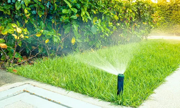 Hướng Dẫn Cách Trồng Cây Ở Sân Chuẩn Kỹ Thuật: Từ Chuẩn Bị, Trồng Trọt Đến Chăm Sóc (dành Cho Sân Vườn & Sân Thượng) Hướng Dẫn Cách Trồng Cây Ở Sân Chuẩn Kỹ Thuật: Từ Chuẩn Bị, Trồng Trọt Đến Chăm Sóc (dành Cho Sân Vườn & Sân Thượng)