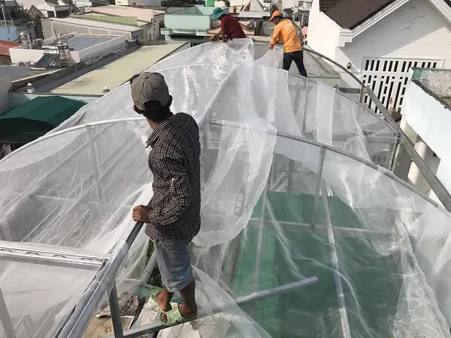 Hướng Dẫn Cách Trồng Cây Ốp Tường Bằng Lưới Chi Tiết: Chọn Loại Lưới, Cây Leo Phù Hợp & Quy Trình Làm Từ A-Z Hướng Dẫn Cách Trồng Cây Ốp Tường Bằng Lưới Chi Tiết: Chọn Loại Lưới, Cây Leo Phù Hợp & Quy Trình Làm Từ A-Z