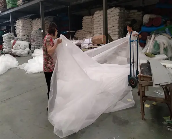 Hướng Dẫn Cách Trồng Cây Ốp Tường Bằng Lưới Chi Tiết: Chọn Loại Lưới, Cây Leo Phù Hợp & Quy Trình Làm Từ A-Z Hướng Dẫn Cách Trồng Cây Ốp Tường Bằng Lưới Chi Tiết: Chọn Loại Lưới, Cây Leo Phù Hợp & Quy Trình Làm Từ A-Z