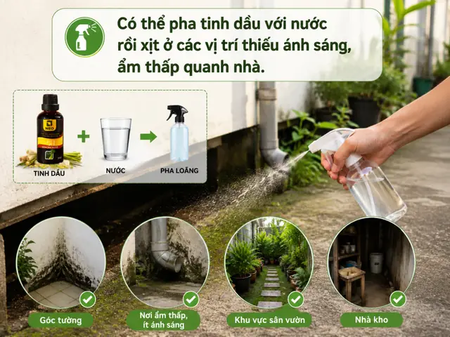 Cách Trồng Cây Sả Để Đuổi Rắn: Bí Kíp Hiệu Quả Và Lưu Ý Quan Trọng