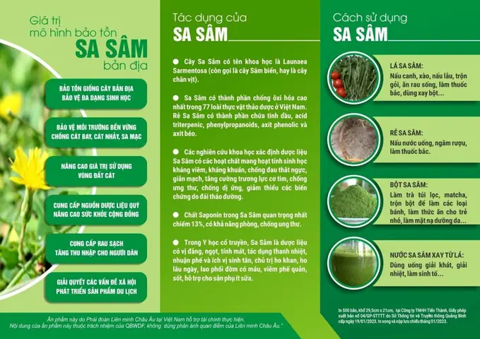 Hướng Dẫn Cách Trồng Cây Sa Sâm (bắc & Nam) Đúng Kỹ Thuật: Phân Biệt Giống, Chọn Đất, Chăm Sóc & Thu Hoạch