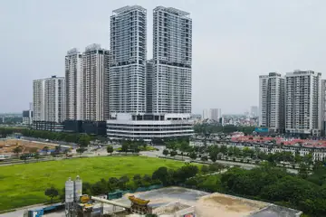 Cách Trồng Cây Thiên Tuế Võ Lâm Miễn Phí - Hướng Dẫn Chi Tiết Từ A-Z Cách Trồng Cây Thiên Tuế Võ Lâm Miễn Phí - Hướng Dẫn Chi Tiết Từ A-Z