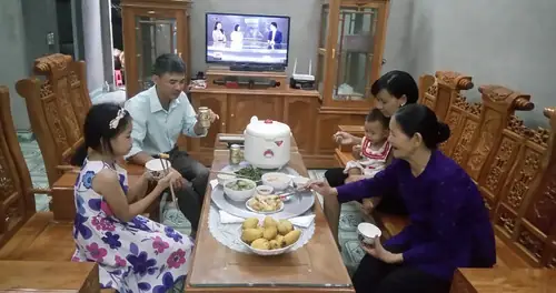 Cách Trồng Cây Thiên Tuế Võ Lâm Miễn Phí - Hướng Dẫn Chi Tiết Từ A-Z Cách Trồng Cây Thiên Tuế Võ Lâm Miễn Phí - Hướng Dẫn Chi Tiết Từ A-Z