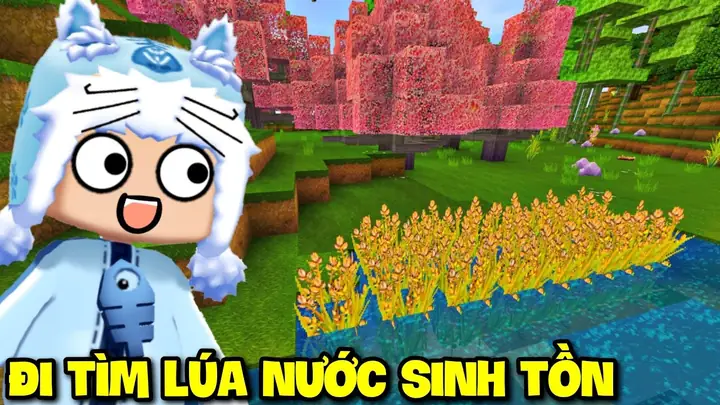 Hướng Dẫn Cách Trồng Cây Gỗ Trong Mini World Chi Tiết: Kỹ Thuật, Loại Cây Cho Gỗ Tốt & Mẹo Cày Nhanh