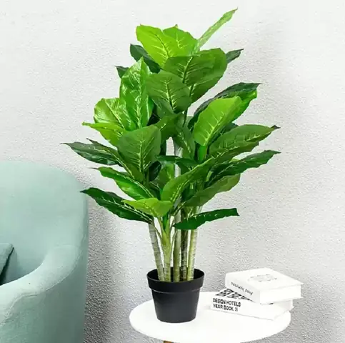Cách Trồng Và Chăm Sóc Cây Trong Phòng Máy Lạnh: Từ Chọn Loại, Kỹ Thuật Tưới Đến Danh Sách Cây "chịu Đựng" Điều Hòa Tốt Nhất