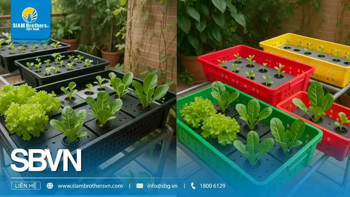Hướng Dẫn Cách Trồng Cây Trong Khay Trồng Chi Tiết Cho Người Mới: 6 Bước Chuẩn, Chăm Sóc Mầm Non & Bí Quyết Chuyển Chậu Thành Công