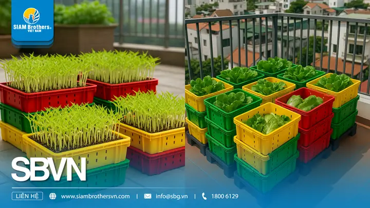 Hướng Dẫn Cách Trồng Cây Trong Khay Trồng Chi Tiết Cho Người Mới: 6 Bước Chuẩn, Chăm Sóc Mầm Non & Bí Quyết Chuyển Chậu Thành Công