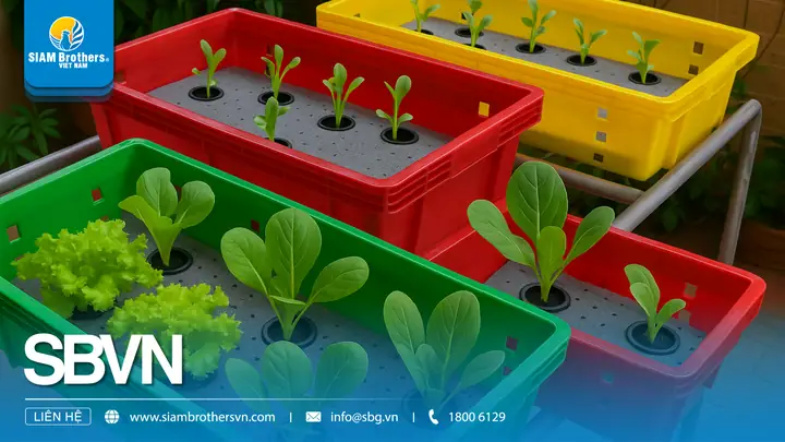 Hướng Dẫn Cách Trồng Cây Trong Khay Trồng Chi Tiết Cho Người Mới: 6 Bước Chuẩn, Chăm Sóc Mầm Non & Bí Quyết Chuyển Chậu Thành Công