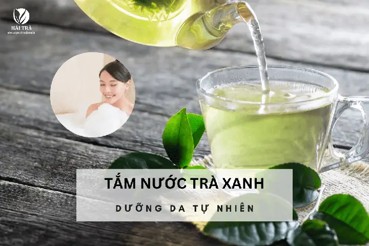 Hướng Dẫn Trồng Chè Thái Nguyên Chuẩn Kỹ Thuật: Từ Chọn Giống, Làm Đất Đến Chăm Sóc, Thu Hái Hướng Dẫn Trồng Chè Thái Nguyên Chuẩn Kỹ Thuật: Từ Chọn Giống, Làm Đất Đến Chăm Sóc, Thu Hái
