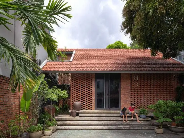 Hướng Dẫn Cách Trồng Cỏ Đuôi Phụng (cây Đuôi Phượng) Tại Nhà: Kỹ Thuật, Chăm Sóc Và Ý Nghĩa Phong Thủy
