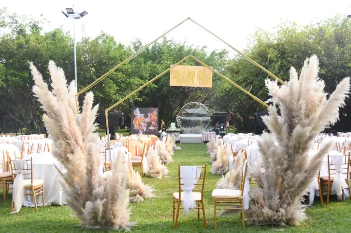 Hướng Dẫn Cách Trồng Cỏ Lau (đỏ, Tím) Thành Công: Kỹ Thuật Chuẩn, Chăm Sóc Và Chọn Giống Theo Mục Đích