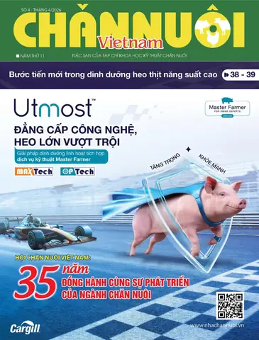 Hướng Dẫn Cách Trồng Cỏ Và Nuôi Dê Hiệu Quả Cho Người Mới Bắt Đầu