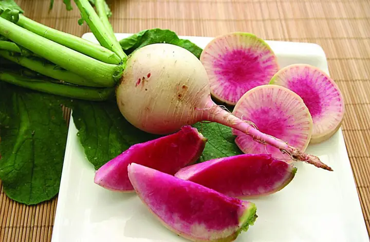 Hướng Dẫn Trồng Củ Cải Trắng Từ Hạt Tự Lấy (trái Mẫu): Quy Trình Thu Hoạch Hạt, Ủ Mầm Và Chăm Sóc直至 Thu Hoạch