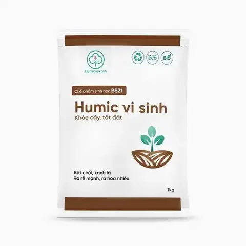 Cách Trồng Cây Chanh Tại Nhà: Chọn Giống, Chăm Sóc Và Thu Hoạch Quanh Năm Cách Trồng Cây Chanh Tại Nhà: Chọn Giống, Chăm Sóc Và Thu Hoạch Quanh Năm