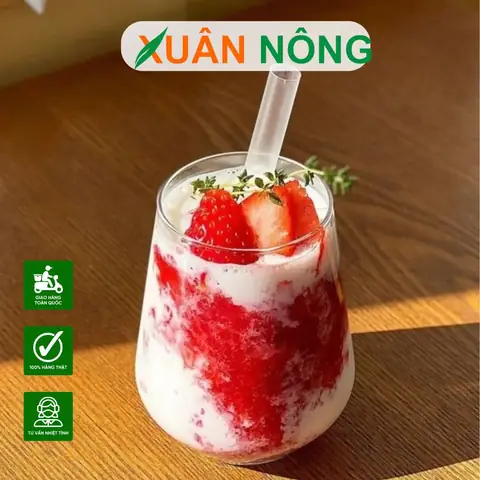 Hướng Dẫn Cách Trồng Dâu Tây Nhật Lùn Tại Nhà (chậu/ban Công): Từ Chọn Giống, Đất, Tưới Đến Chăm Sóc Cho Trái Ngọt Ở Xứ Nóng