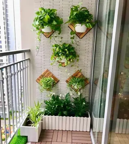 Hướng Dẫn Cách Trồng Cây Dây Thân (leo Giàn) Tại Nhà: Từ Chọn Giống, Làm Giàn Đến Chăm Sóc Và Nhân Giống Hướng Dẫn Cách Trồng Cây Dây Thân (leo Giàn) Tại Nhà: Từ Chọn Giống, Làm Giàn Đến Chăm Sóc Và Nhân Giống
