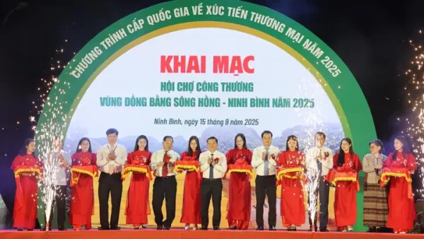 Hướng Dẫn Kỹ Thuật Trồng Dưa Chuột Mùa Đông (vụ Đông/thu-đông) Chuẩn Quy Trình, Năng Suất Cao, Chống Lạnh Hiệu Quả