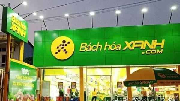 Hướng Dẫn 5 Cách Trồng Giá Đỗ Tại Nhà Đơn Giản, An Toàn Cho Học Sinh (kèm Mẫu Nhật Ký Quan Sát)