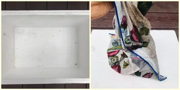 Hướng Dẫn 5 Cách Trồng Giá Ú Tại Nhà Trắng Mập Giòn Sạch, Đơn Giản Cho Người Mới Hướng Dẫn 5 Cách Trồng Giá Ú Tại Nhà Trắng Mập Giòn Sạch, Đơn Giản Cho Người Mới