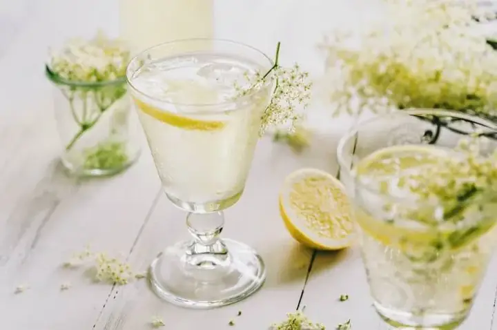 Hướng Dẫn Trồng Cây Cơm Cháy Từ A-Z: Chăm Sóc, Thu Hoạch Và Công Dụng Hướng Dẫn Trồng Cây Cơm Cháy Từ A-Z: Chăm Sóc, Thu Hoạch Và Công Dụng