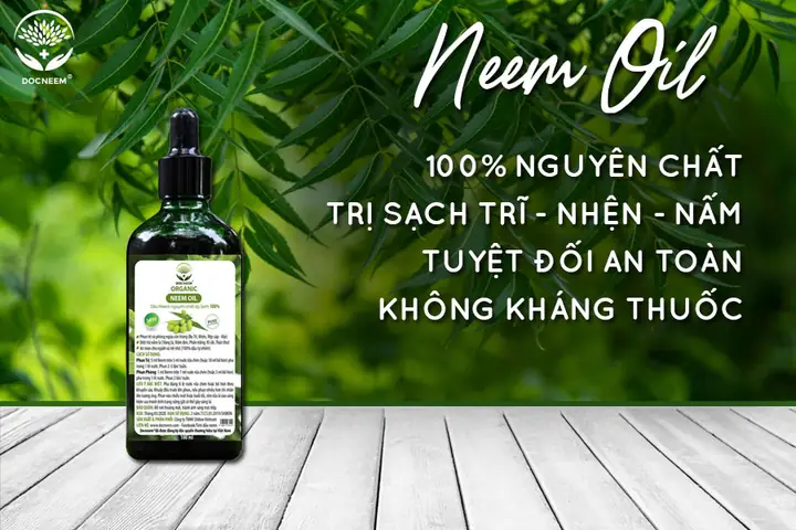 Hướng Dẫn Cách Tạo Và Trồng Hoa Hồng Tree Rose (thân Gỗ) Từ A-Z Cho Người Mới Bắt Đầu