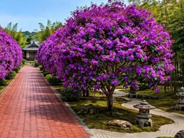 Hướng Dẫn Trồng Hoa Hồng Treo: Kỹ Thuật Chi Tiết Từ Chọn Đất Đến Chăm Sóc Dài Kỳ