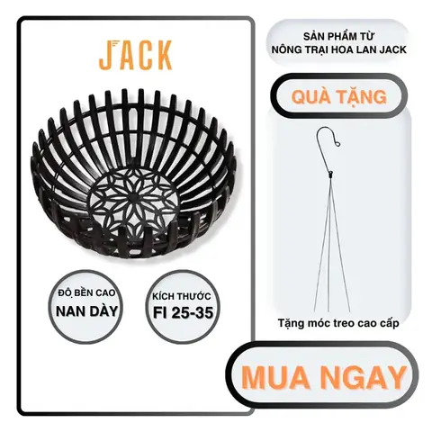 Cách Trồng Lan Con Từ Chồi, Mầm Và Cây Con Trong Chai Cho Người Mới
