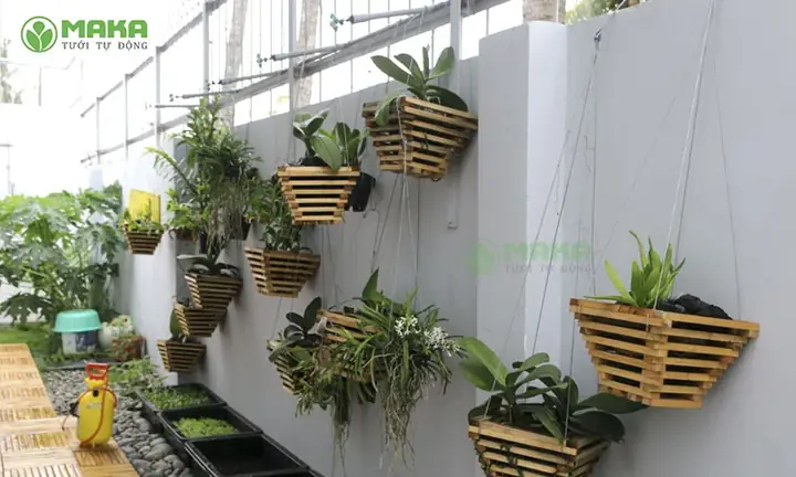 Cách Trồng Lan Ra Hoa: Hướng Dẫn Kích Hoa Nhiều, Đều Cho Người Mới