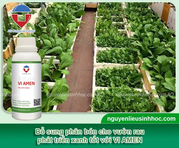 Cách Trồng Rau Ăn Tết: Chọn Loại Nào Nhanh Thu Hoạch Và Gieo Khi Nào Để Kịp Tết Cách Trồng Rau Ăn Tết: Chọn Loại Nào Nhanh Thu Hoạch Và Gieo Khi Nào Để Kịp Tết