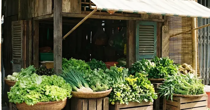 Cách Trồng Rau Ăn Tết: Chọn Loại Nào Nhanh Thu Hoạch Và Gieo Khi Nào Để Kịp Tết Cách Trồng Rau Ăn Tết: Chọn Loại Nào Nhanh Thu Hoạch Và Gieo Khi Nào Để Kịp Tết