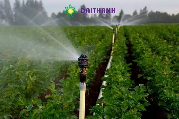 Cách Trồng Rau An Toàn Tại Nhà: Quy Trình 7 Bước Chuẩn Vietgap Từ Chuẩn Bị Đến Thu Hoạch