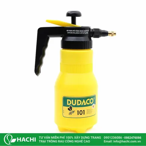 Cách Trồng Rau Mầm Bằng Khay Nhựa Tại Nhà: Từ Hạt Đến Thu Hoạch