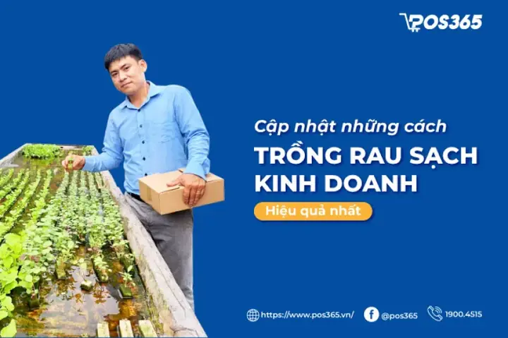 Cách Trồng Rau Sạch Để Kinh Doanh: Mô Hình, Quy Trình, Chi Phí Và Cách Bán Hàng